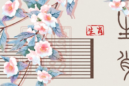 2002年05月19日的人命好吗 此日生宝宝运势