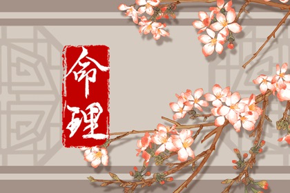 2002年08月12日五行八字命运查询 五行缺什么